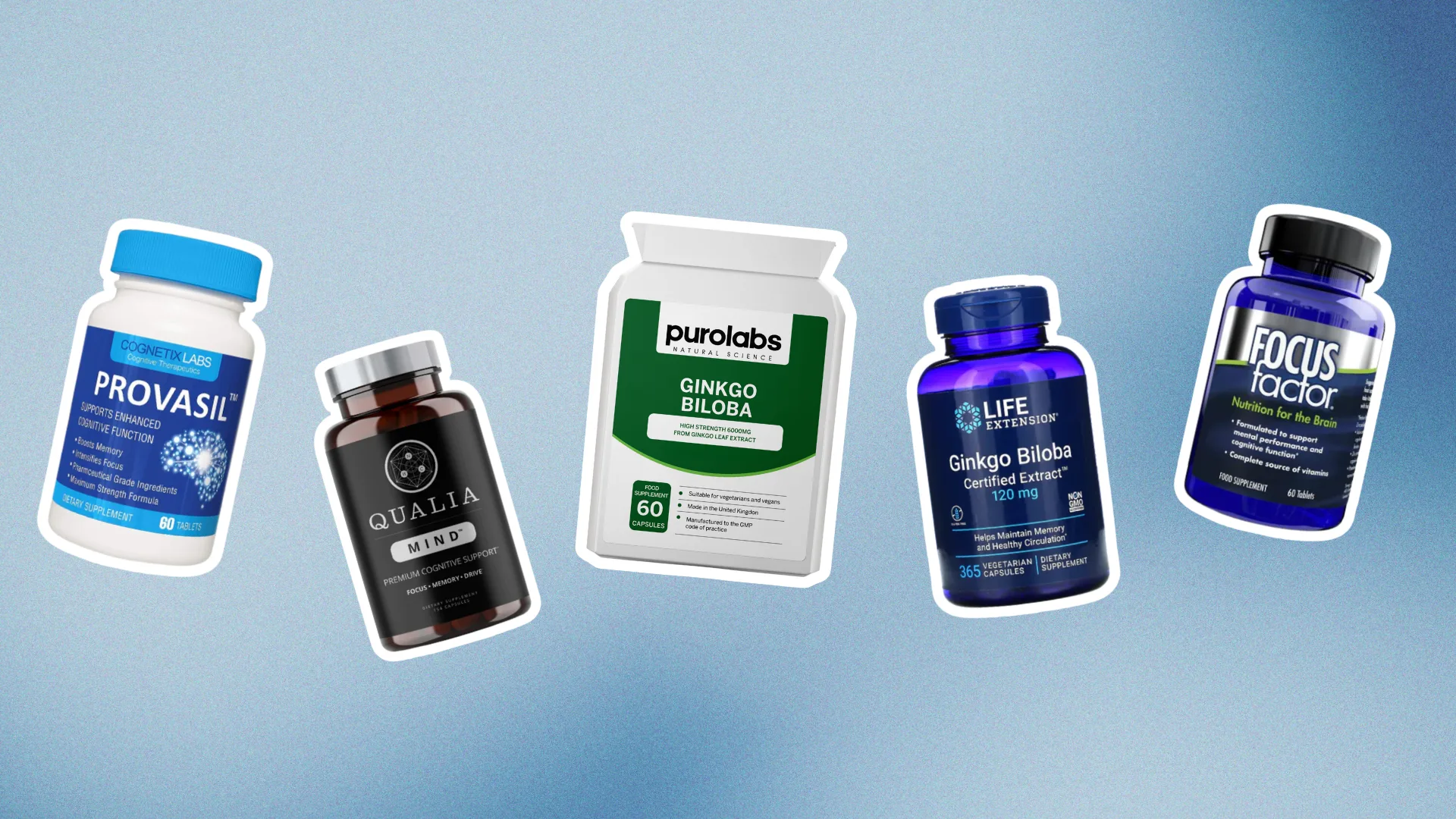 Ginkgo biloba leaves and supplements for brain health and cognitive support