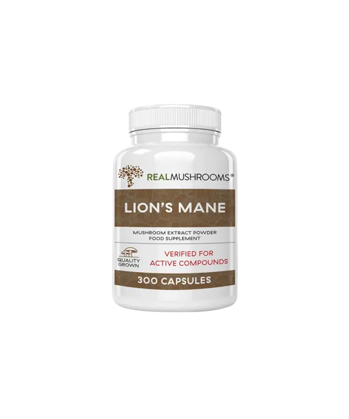 Real Mushrooms Lion's Mane