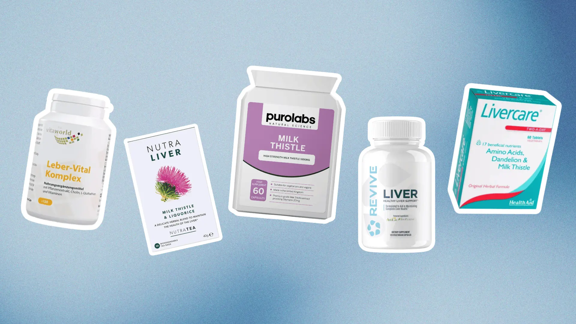 Milk thistle flower with purple bloom for liver health supplements